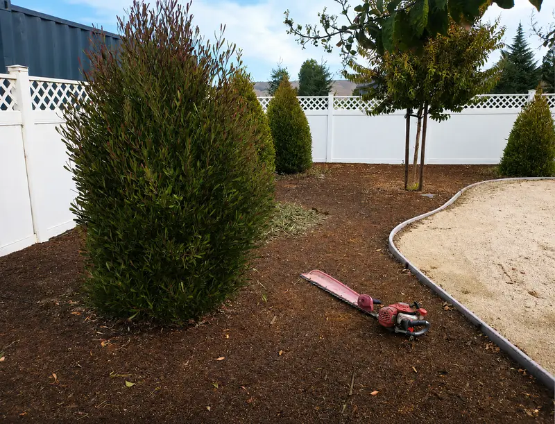 Patio trasero — mulch, bordes y setos