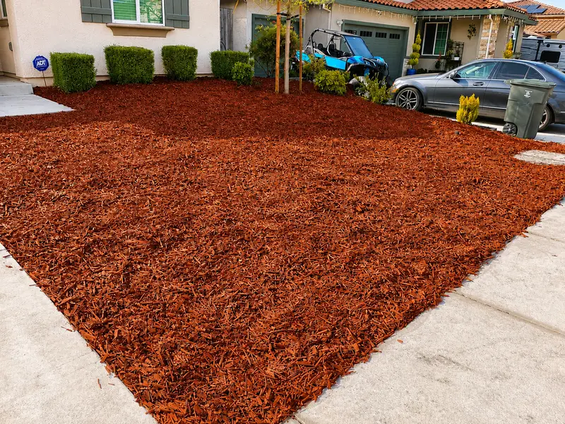 Mulch fresco — renovación de frente